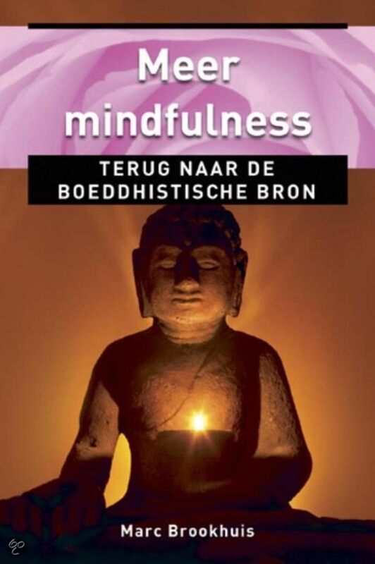 Meer Mindfulness, terug naar de boeddhistische bron