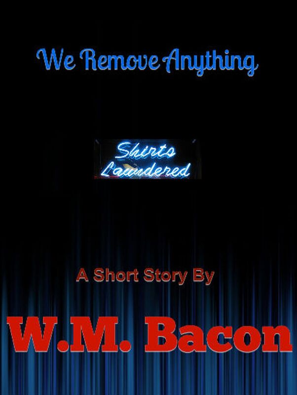 We Remove Anything