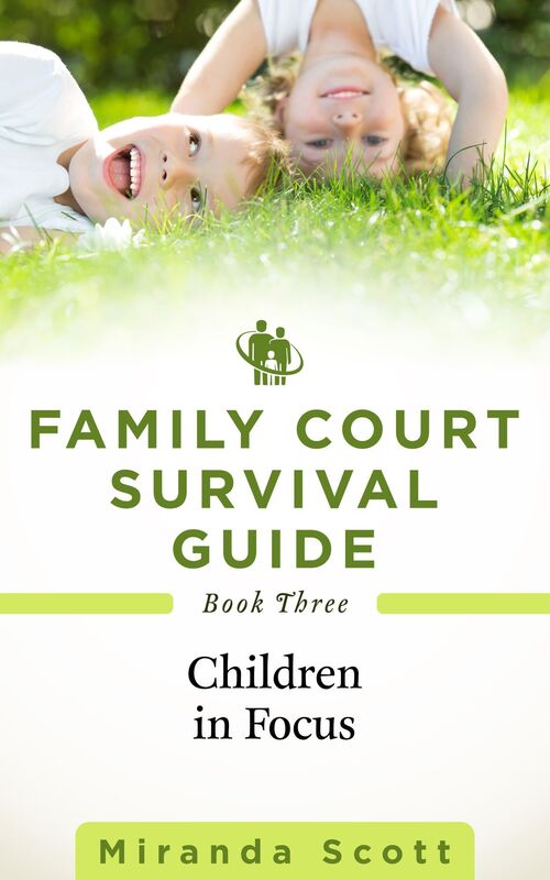 Family Court Survival Guide: Book Three: Children in Focus