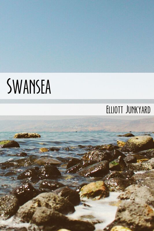 Swansea (Sweet Revenge Book 1)