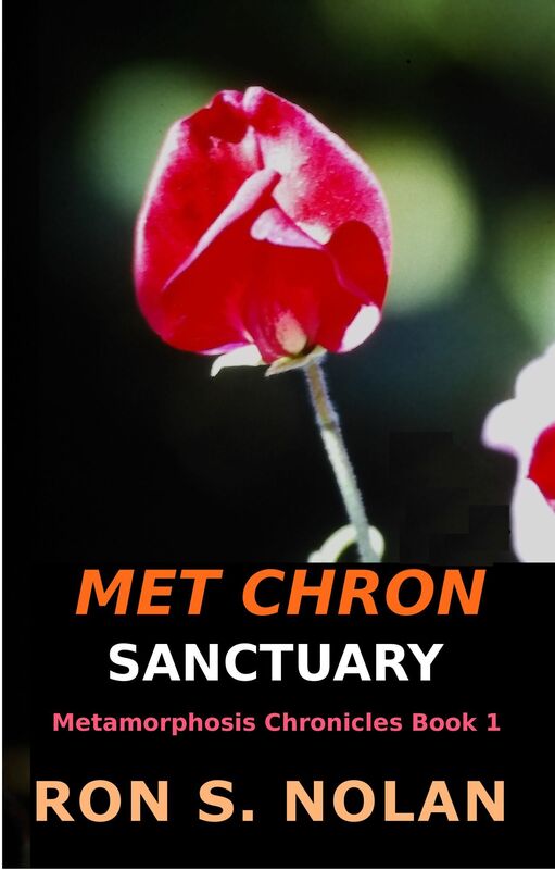Met-Chron Sanctuary (Metamorphosis Chronicles Book 1)