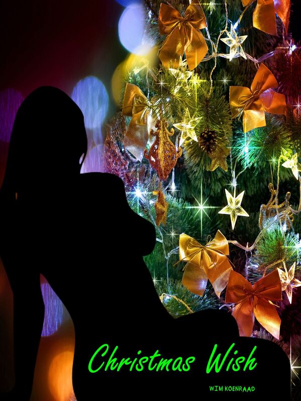 Christmas Wish