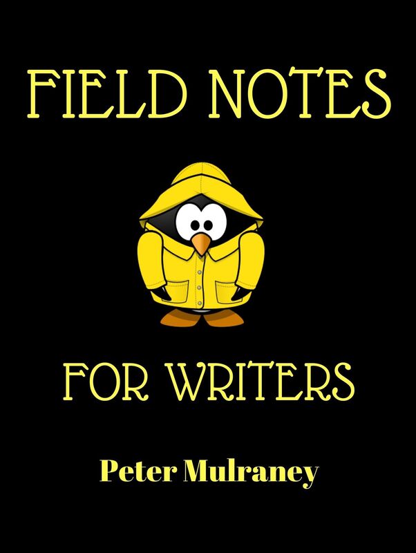 Field Notes for Writers