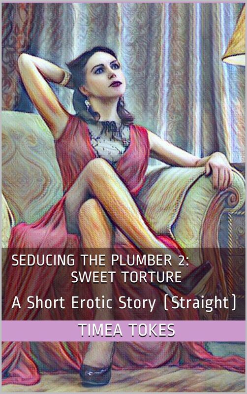 Seducing the Plumber 2: Sweet Torture