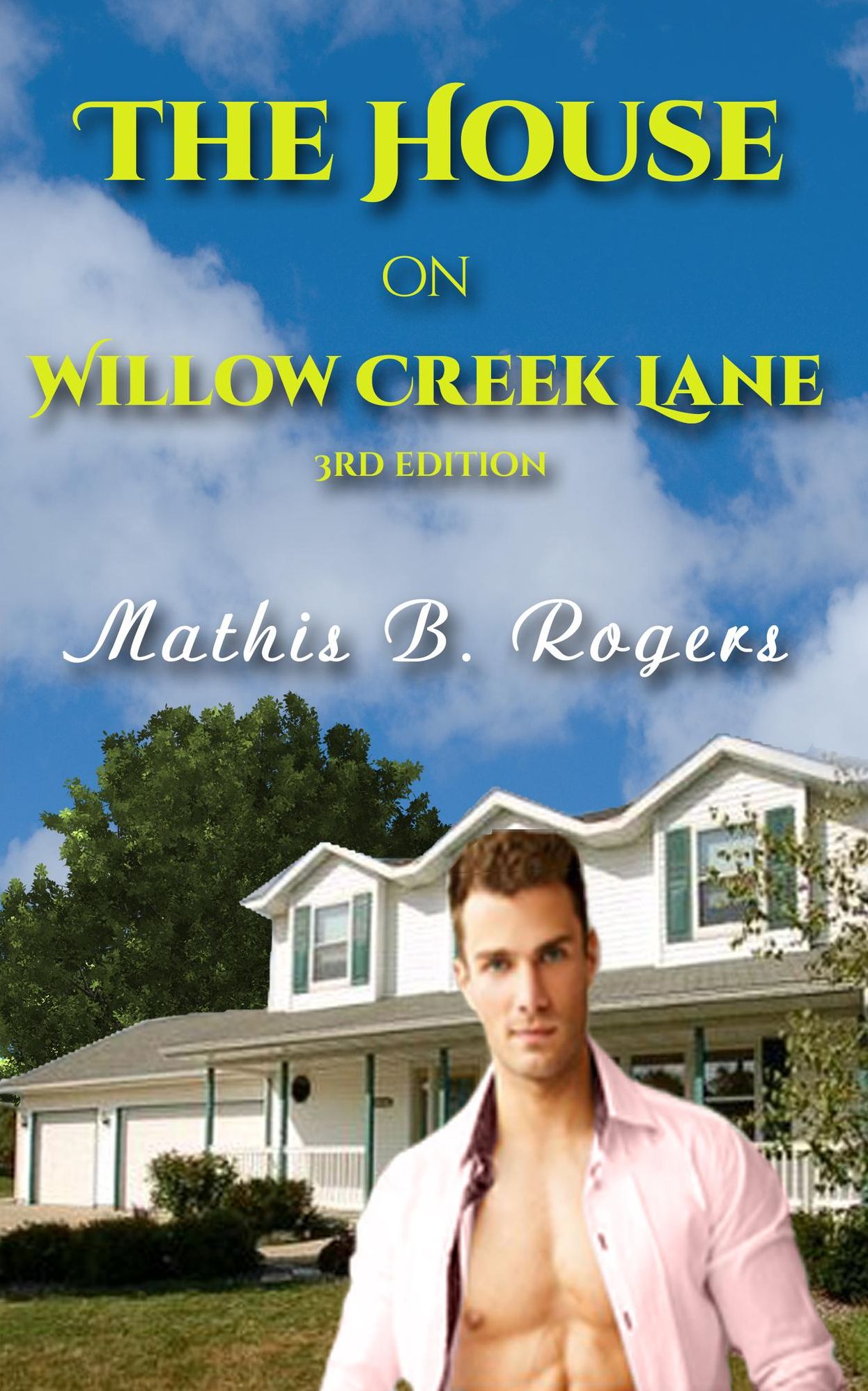 The House on Willow Creek Lane