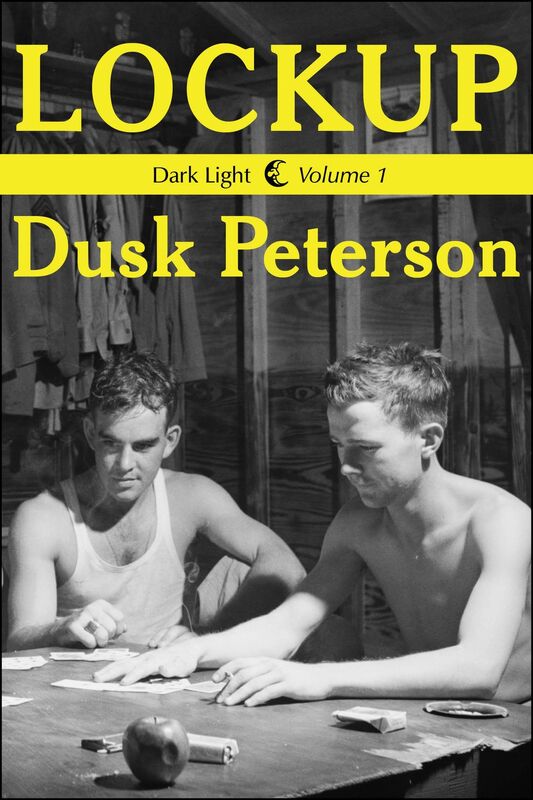 Lockup (Dark Light, Volume 1)