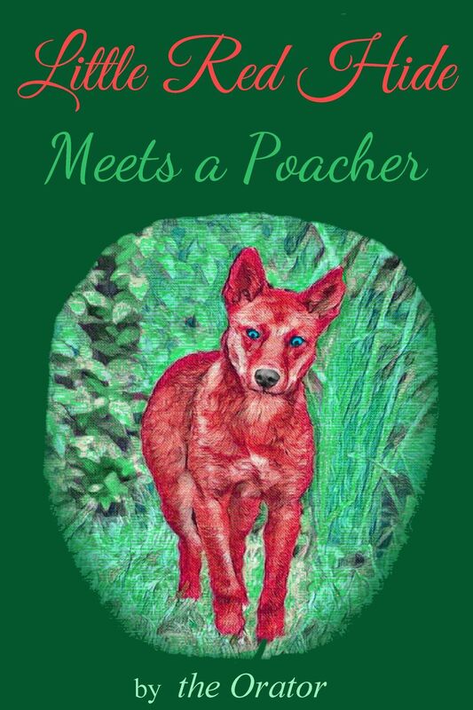 Little Red Hide Meets a Poacher