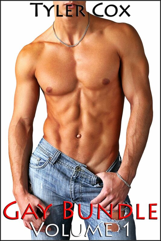 Gay Bundle: Volume 1