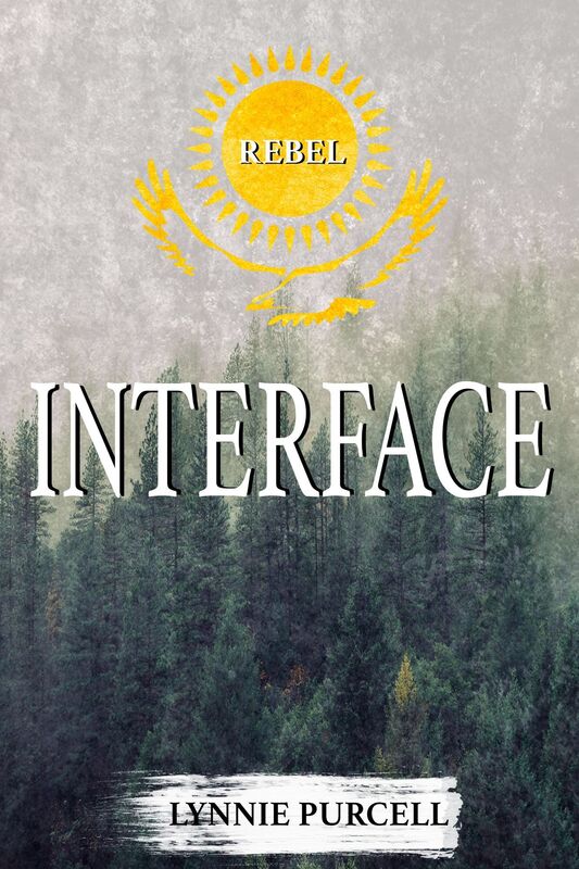 Interface (Controllers: Book 2)