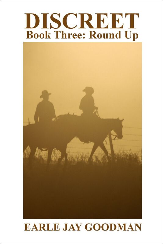 Discreet: Book Three: Round Up