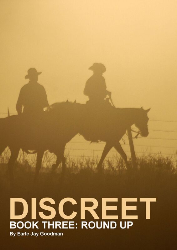 Discreet: Book Three: Round Up