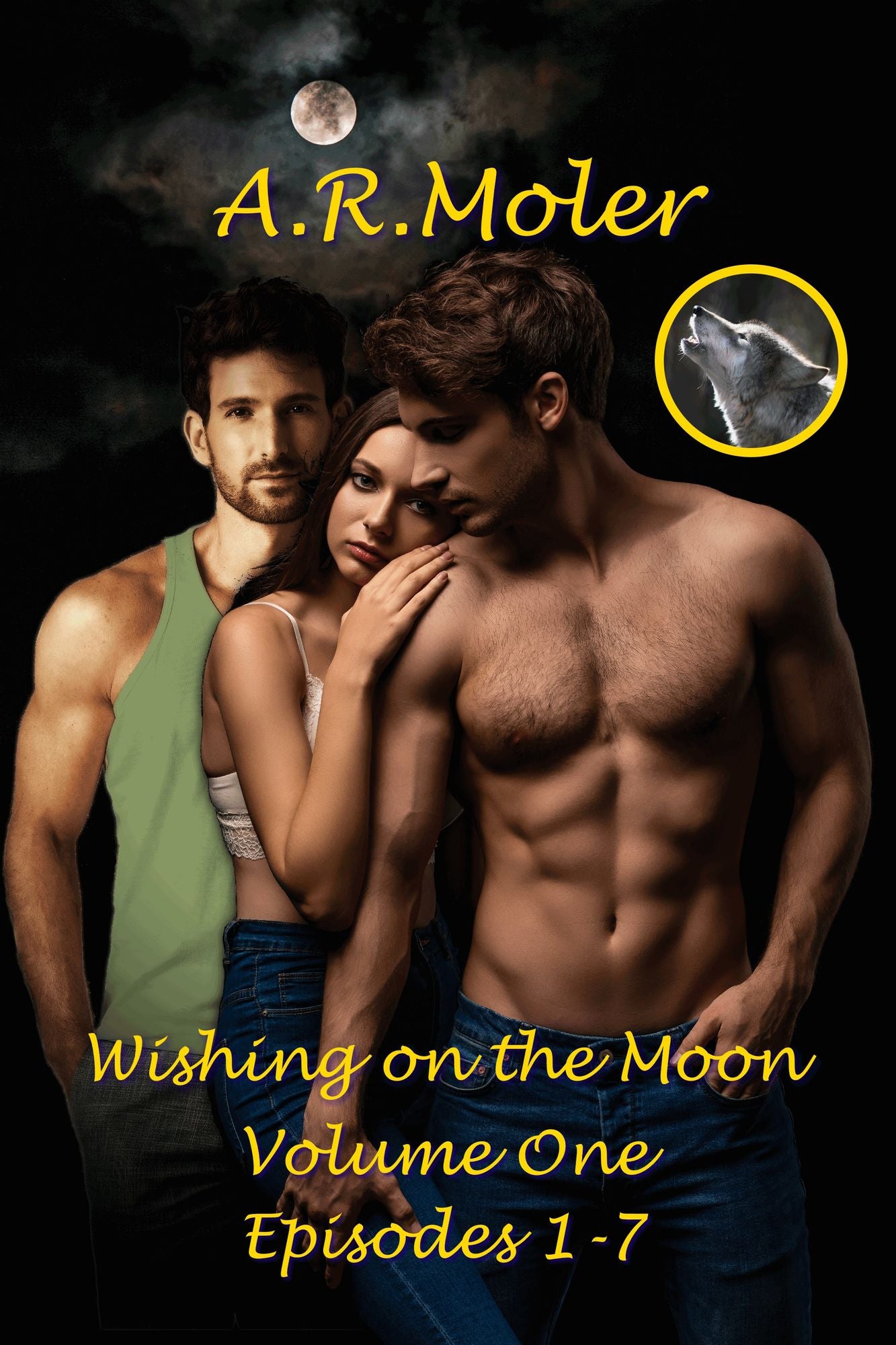 Wishing on the Moon Vol. 1