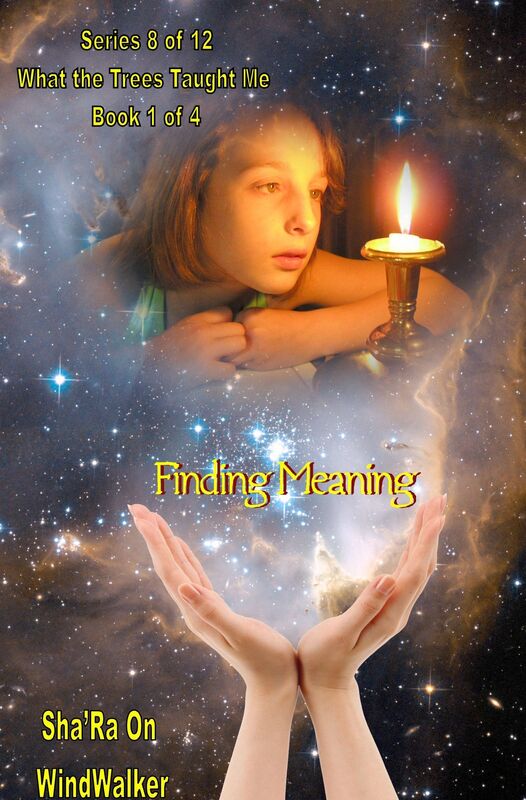 Finding Meaning