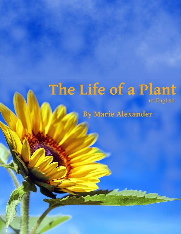The Life of a Plant: in English