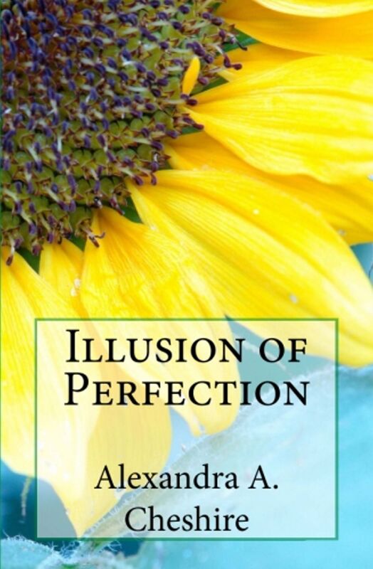 Illusion of Perfection