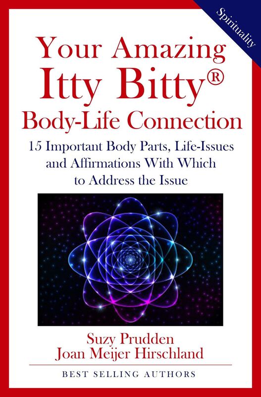 Your Amazing Itty Bitty Body-Life Connection Book