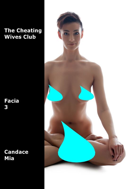 The Cheating Wives Club: Facia 3
