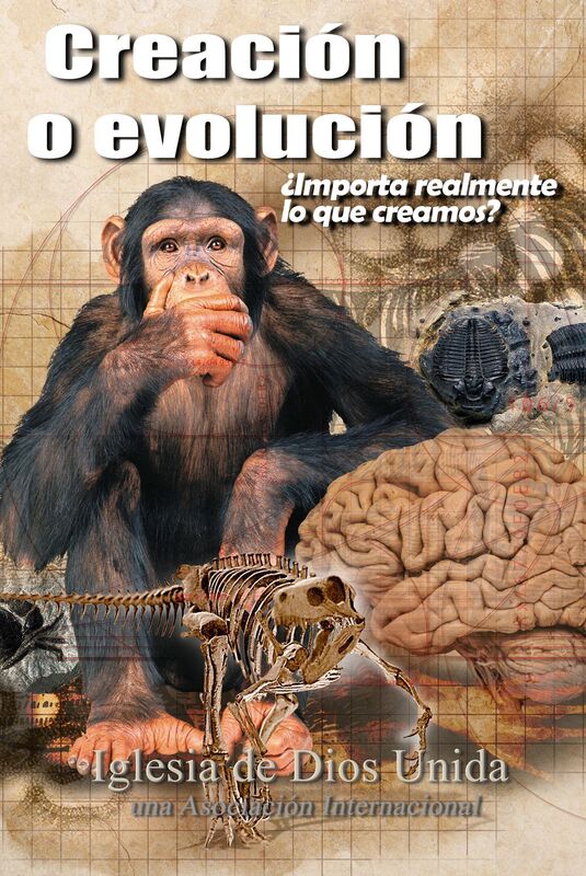 Creación o evolución Importa realmente lo que creamos?