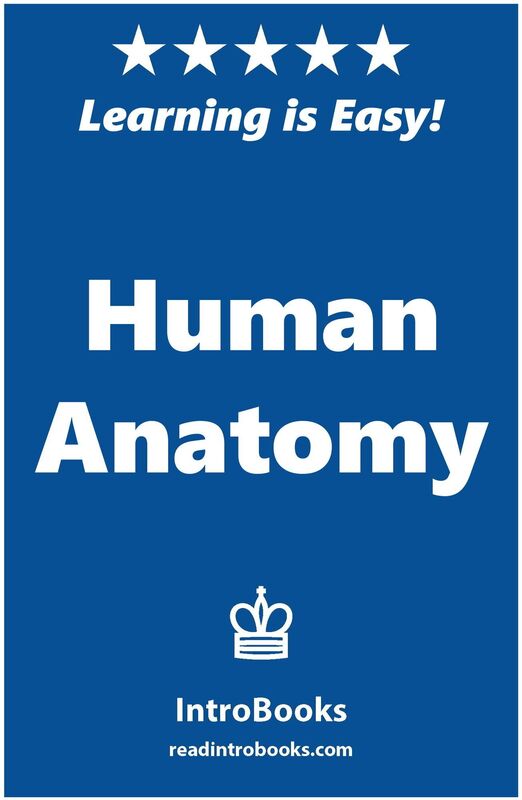 Human Anatomy