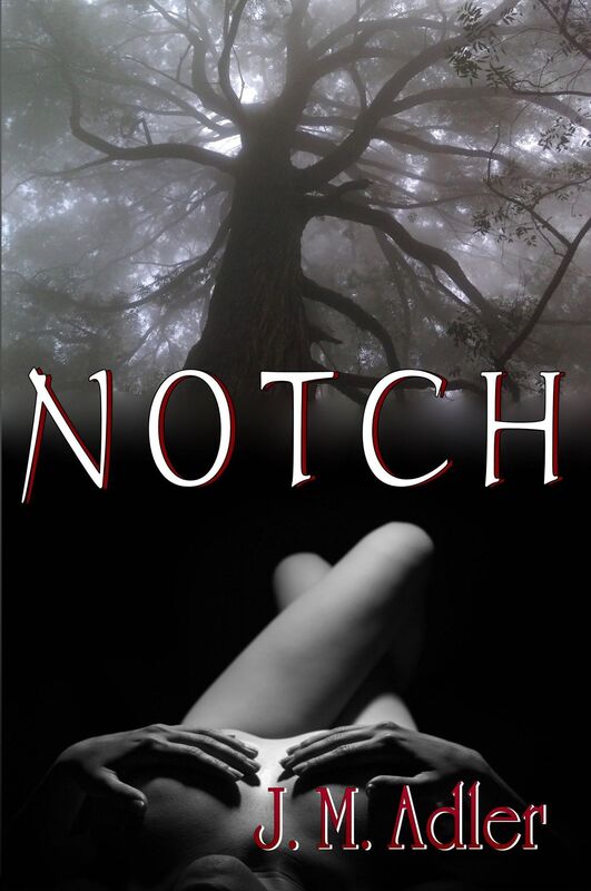 Notch