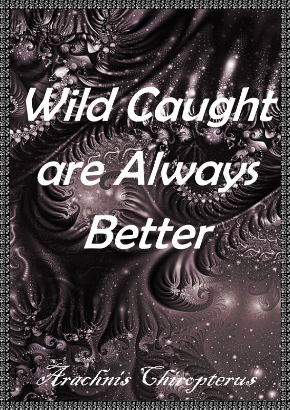 Wild Caught Are Always Better
