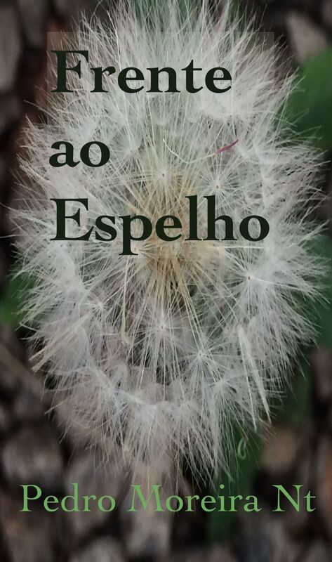Ela, frente ao espelho: monólogo em um ato