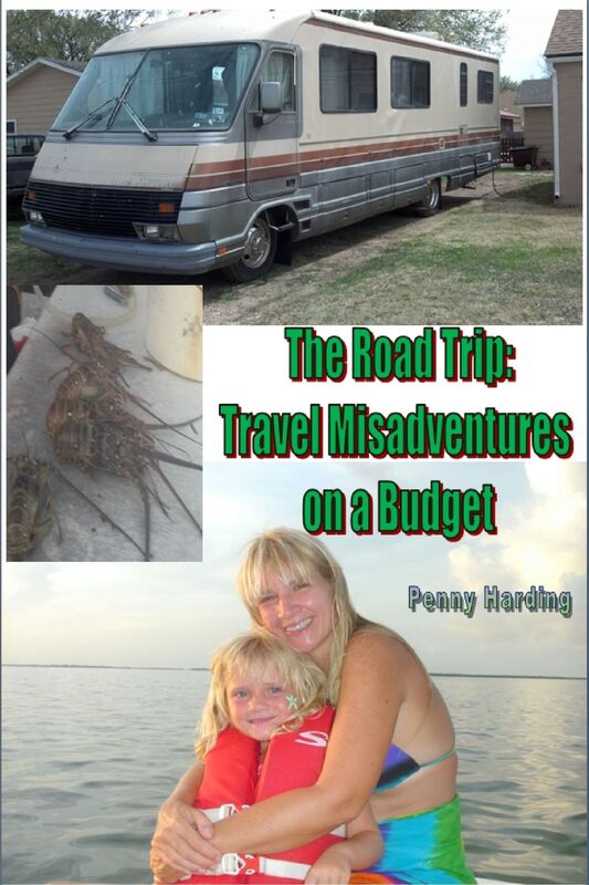 The Road Trip: Travel Misadventures on a Budget