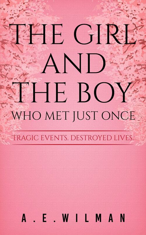 The Girl And The Boy Who Met Just Once