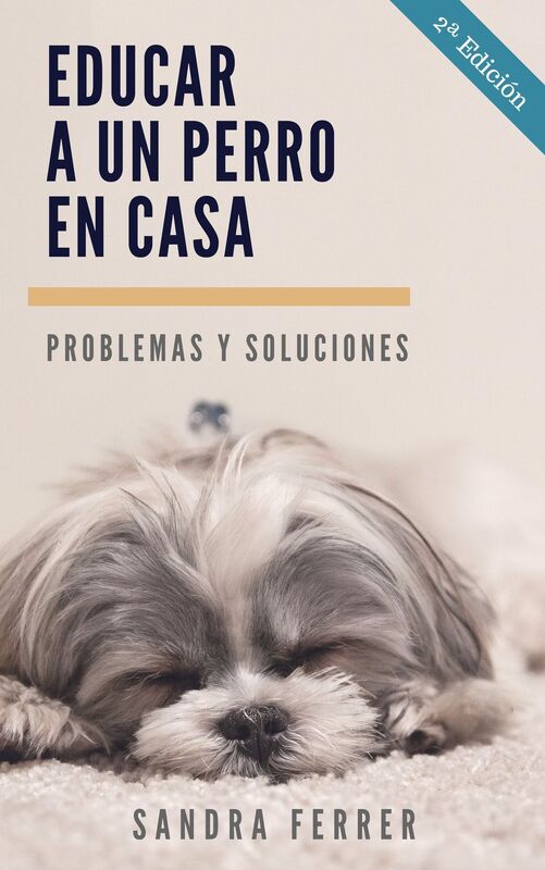 Problemas y soluciones para educar y cuidar a un perro en casa