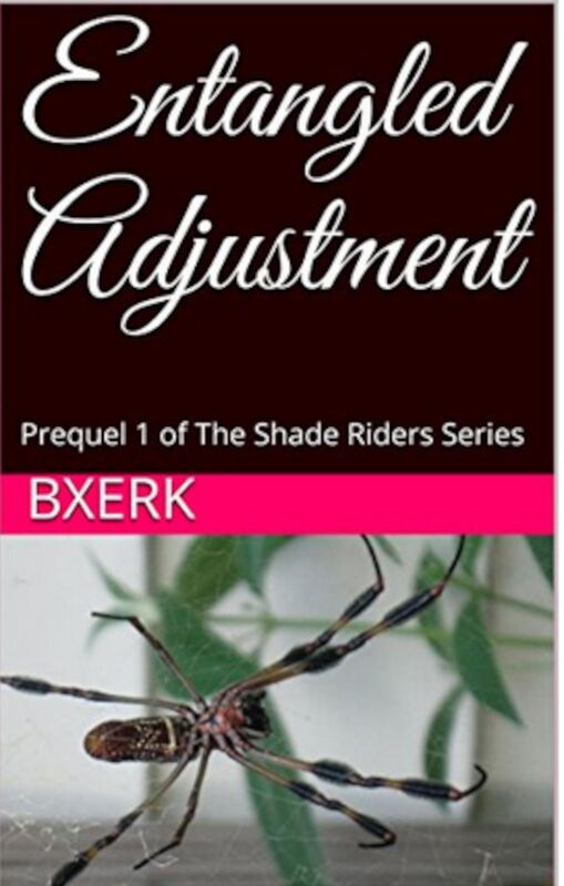 Entangled Adjustment