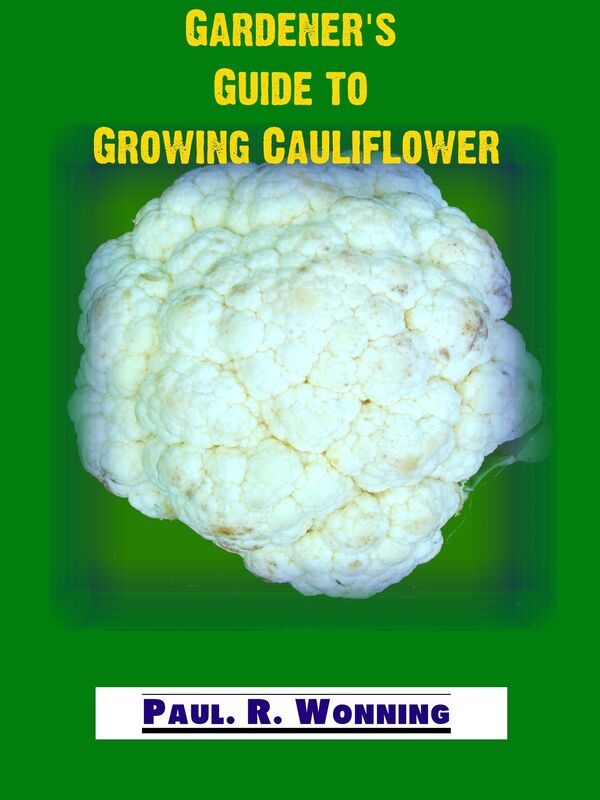 Gardener's Guide to Growing Cauliflower