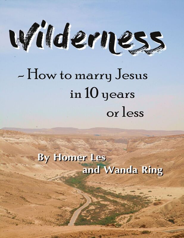 Wilderness: How to Marry Jesus in 10 Years or Less