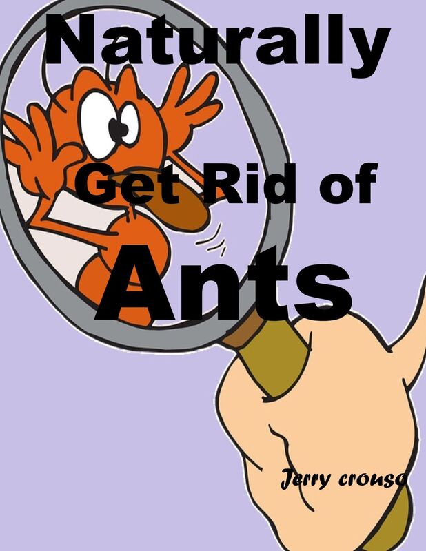 Naturally Get Rid of Ants