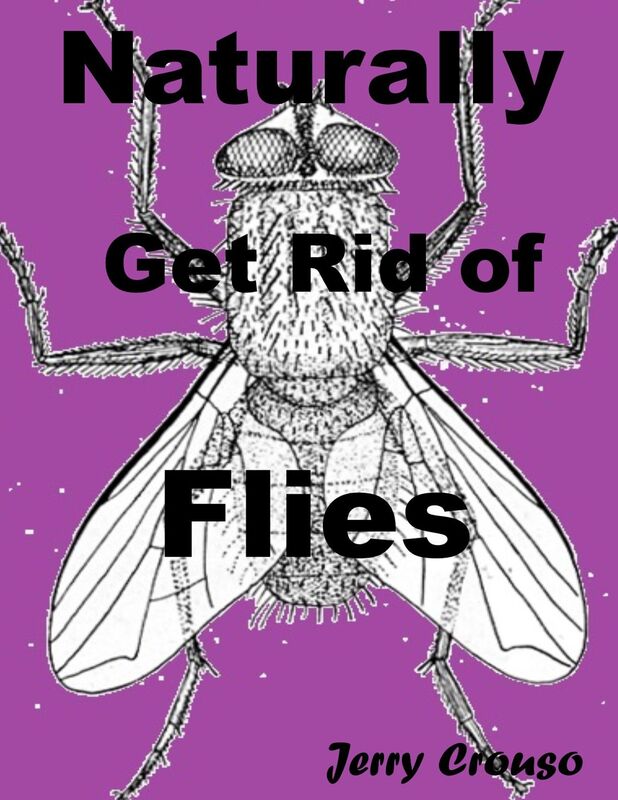 Naturally Get Rid of Flies