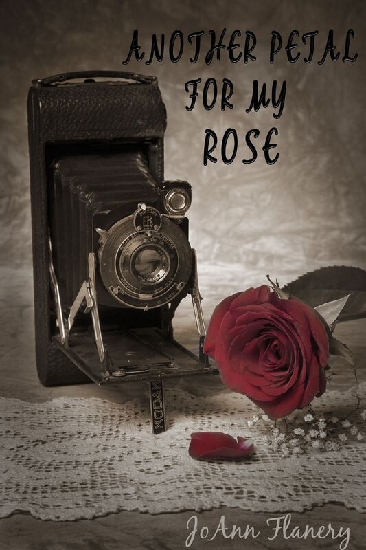 Another Petal for my Rose