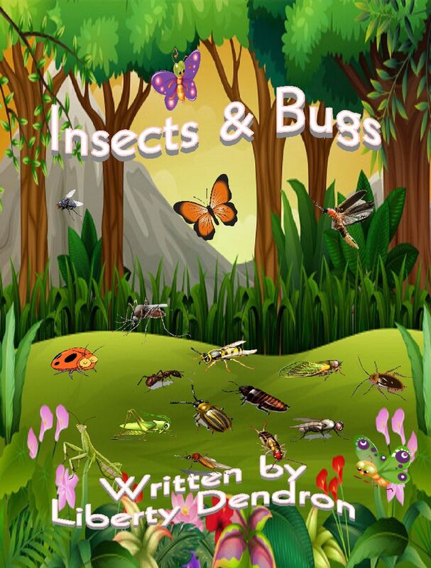 Insects & Bugs by Liberty Dendron