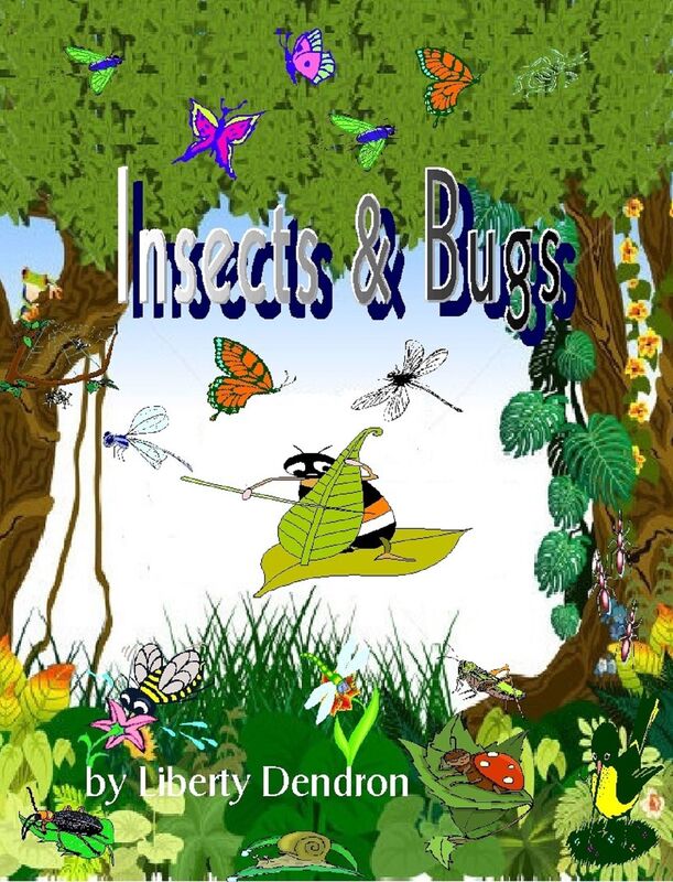 Insects & Bugs by Liberty Dendron