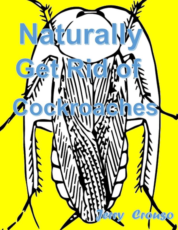 Naturally Get Rid of Cockroaches