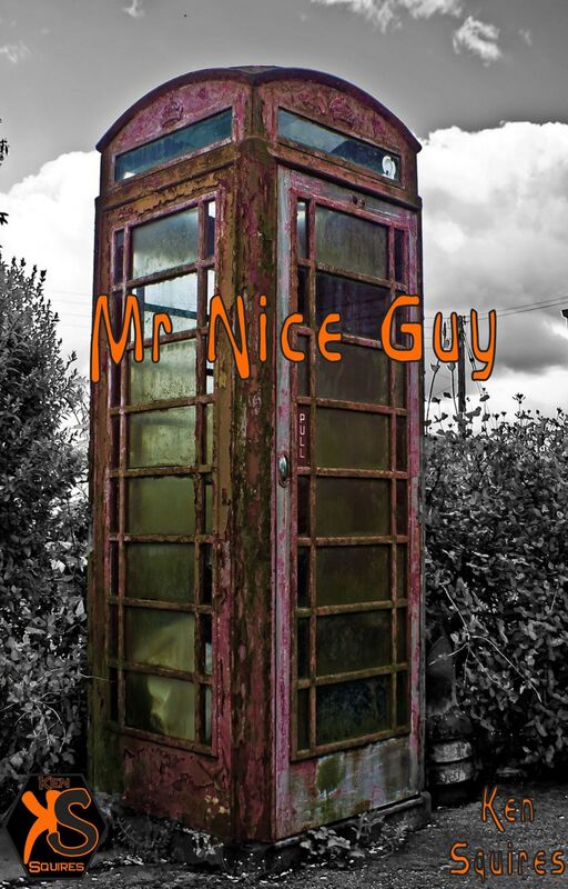 Mr Nice Guy