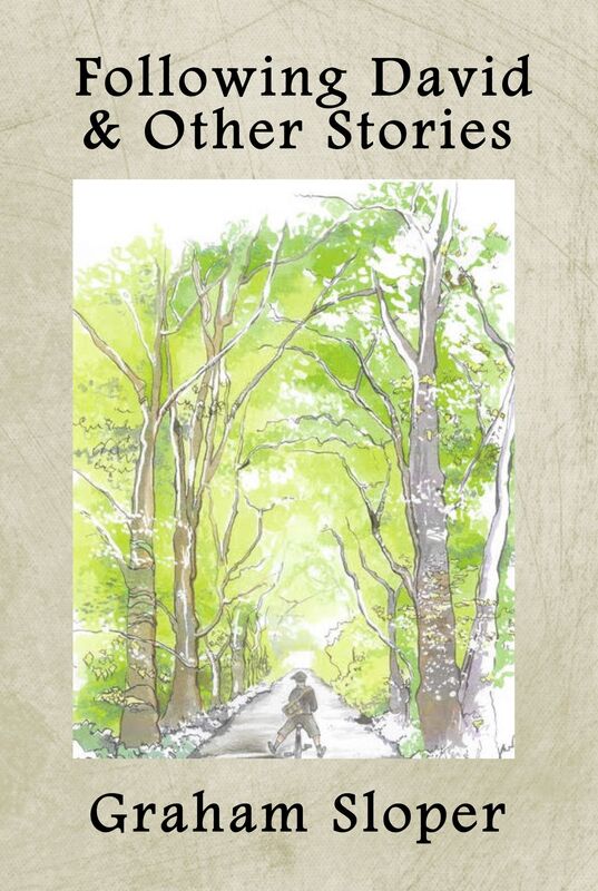 Following David & Other Stories