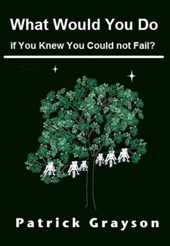 What Would You Do If You Knew You Could Not Fail?