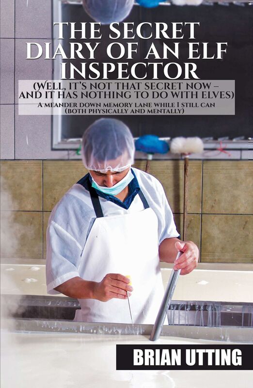 The Secret Diary of An Elf Inspector
