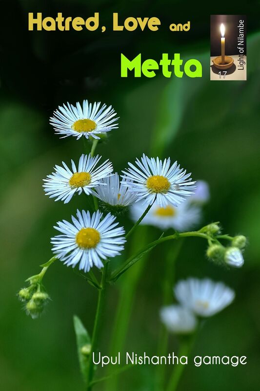 Love, Hatred & Metta