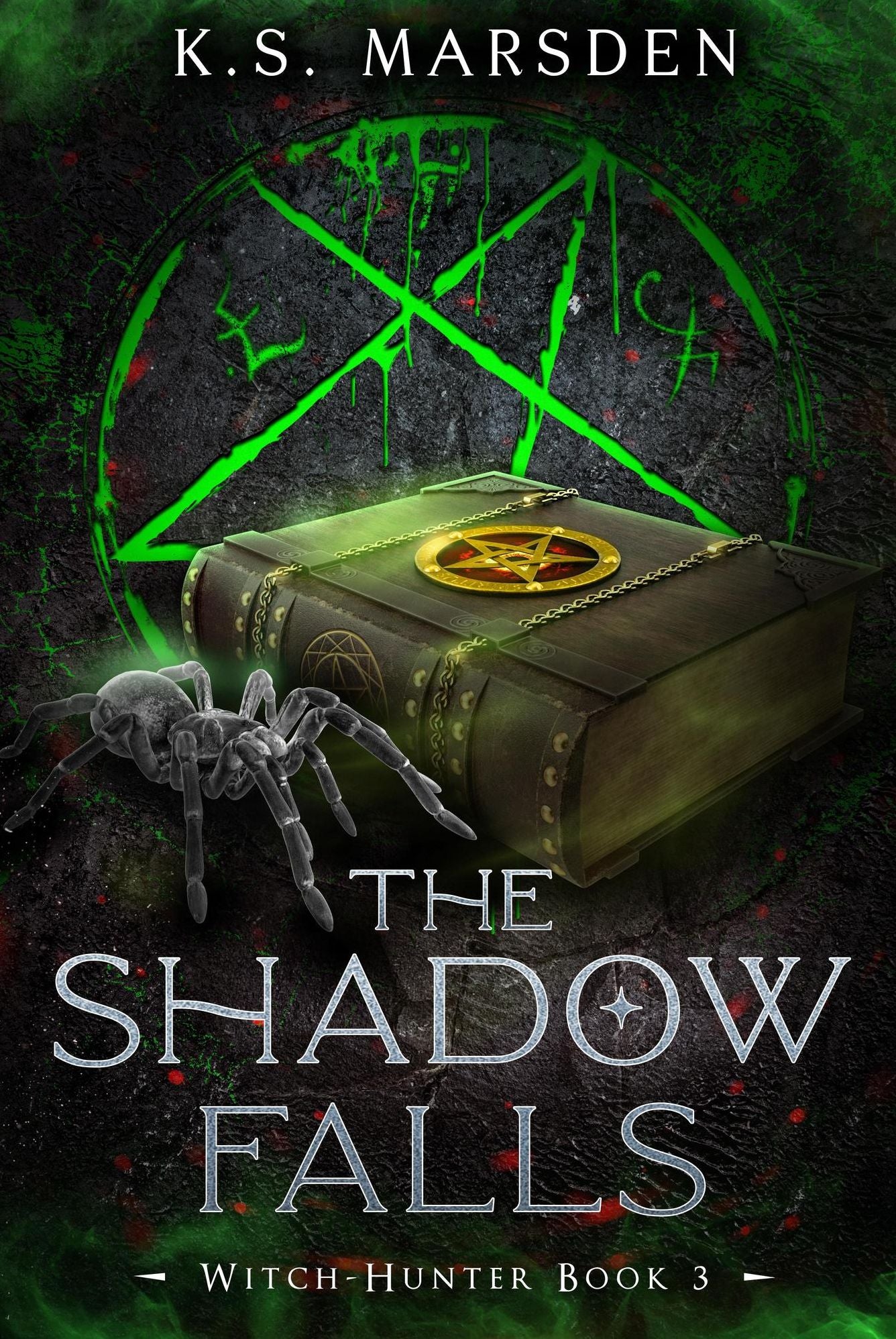 The Shadow Falls (Witch-Hunter #3)