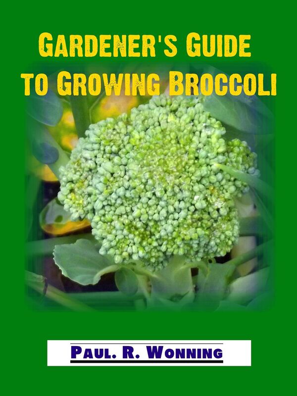 Gardener's Guide to Growing Broccoli