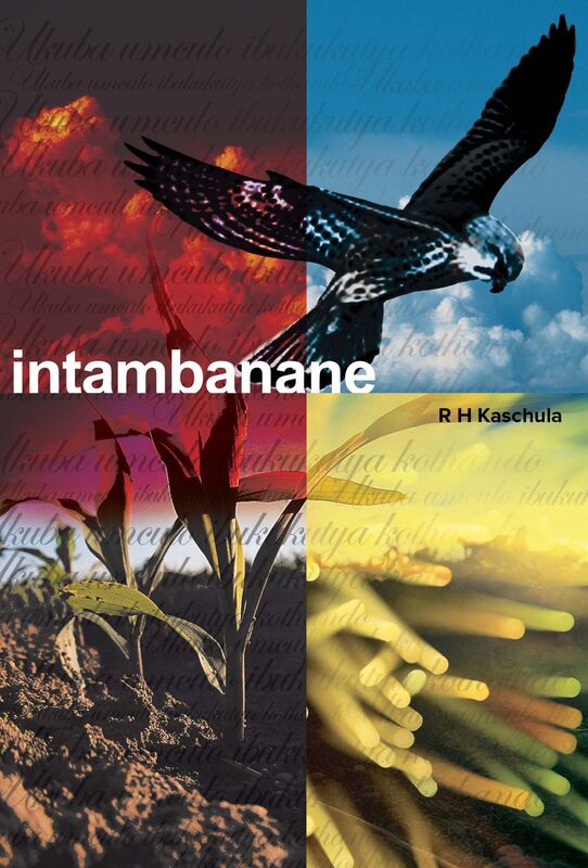 Intambanane