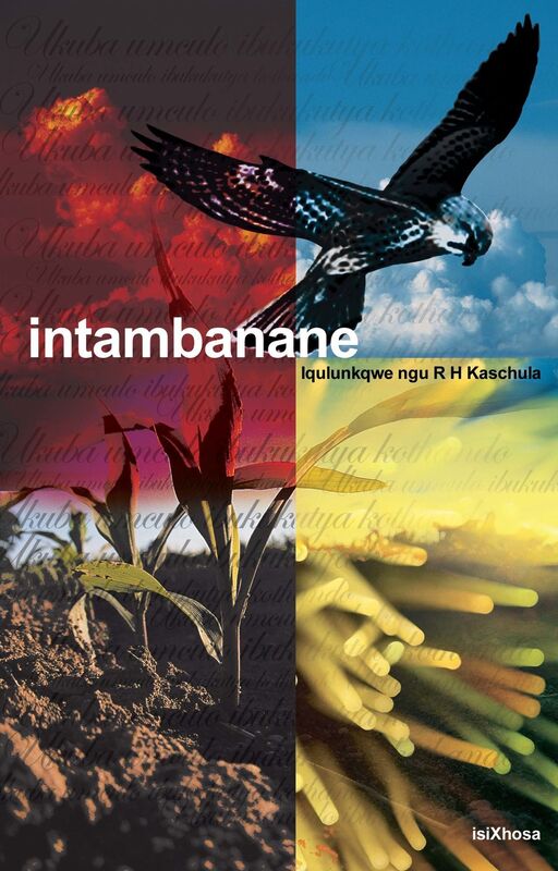 Intambanane