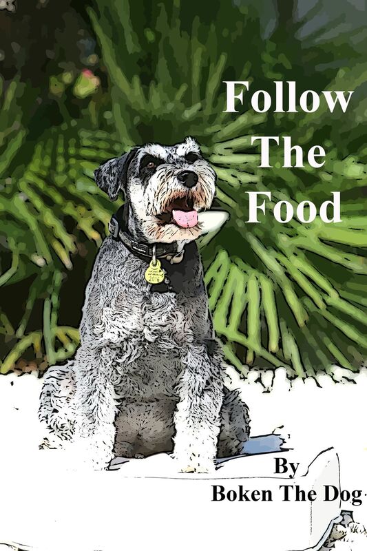 Follow The Food