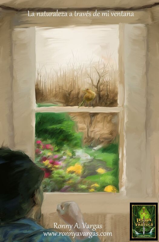 La naturaleza a través de mi ventana.