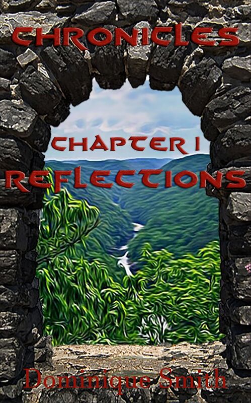 Chronicles Chapter One: Reflections